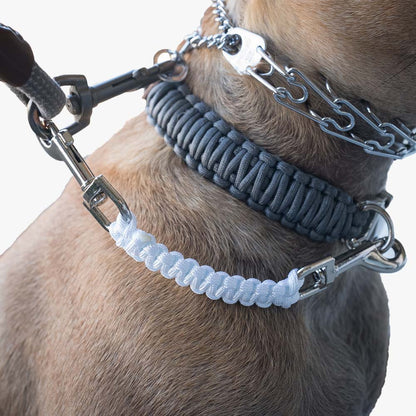 Safety Backup Leash for Prong Collars and Harnesses